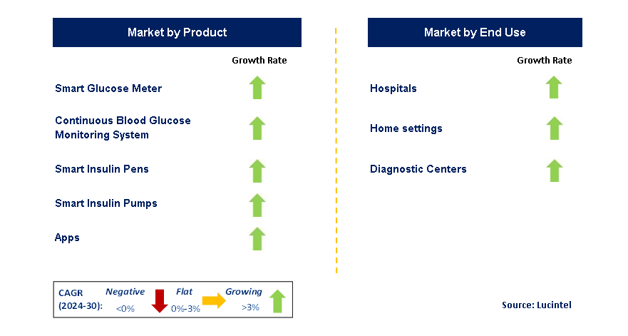 Digital Diabetes Management by Segment