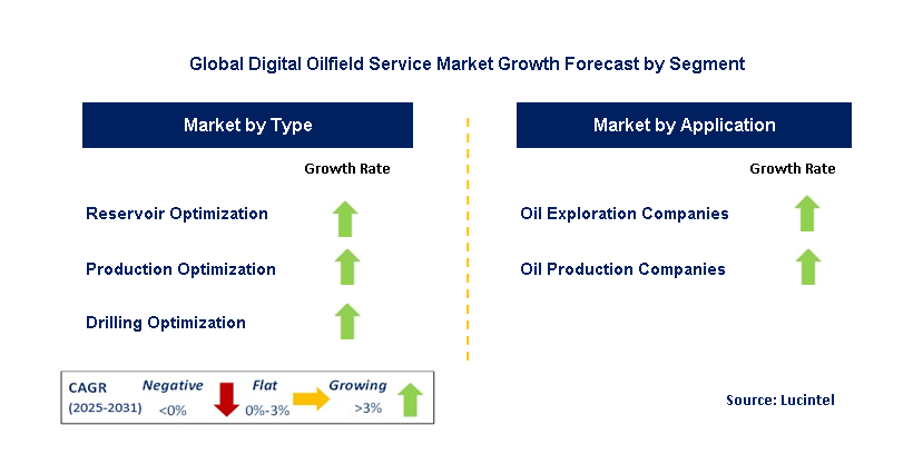 Digital Oilfield Service Market by Segment