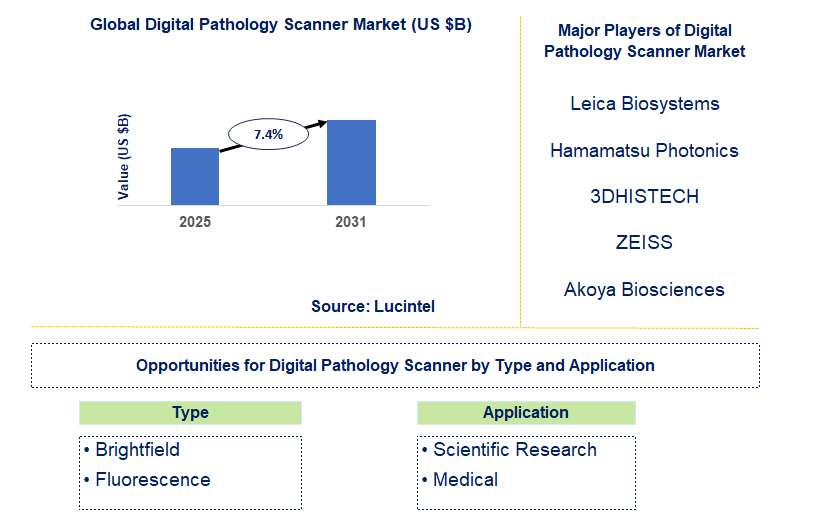 Digital Pathology Slide Scanner Market Trends and Forecast