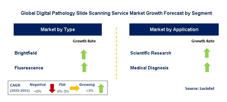 Digital Pathology Slide Scanning Service Market by Segment