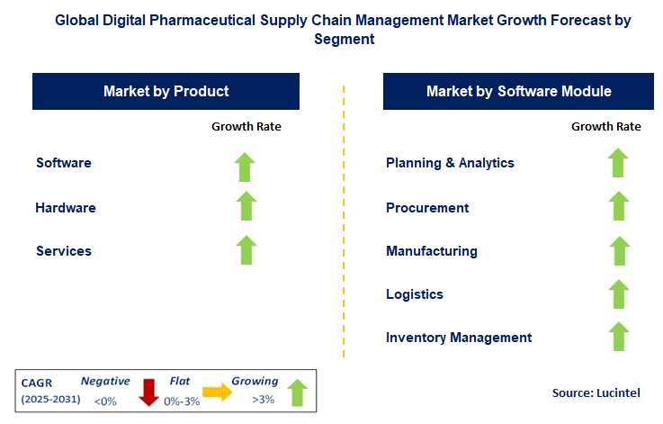 Digital Pharmaceutical Supply Chain Management Market by Segment