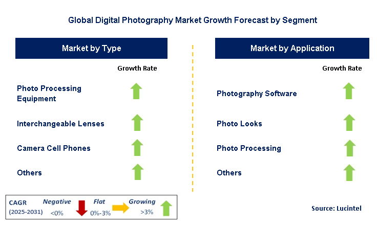 Digital Photography Market by Segment