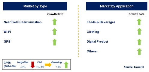Digital Retail by Segment