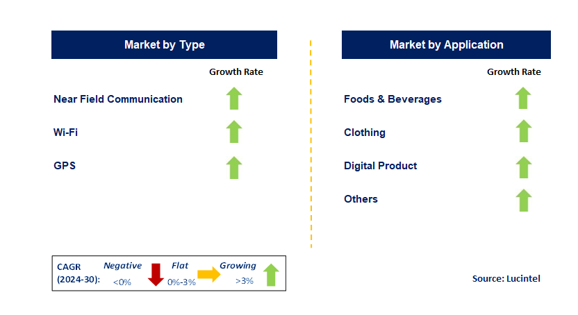 Digital Retail by Segment