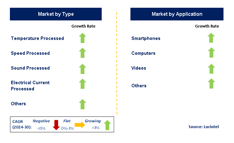 Digital Semiconductor by Segment