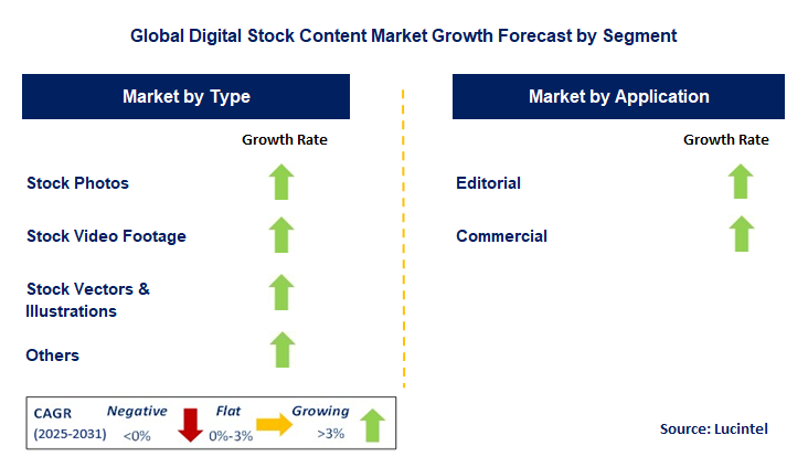 Digital Stock Content Market by Segment