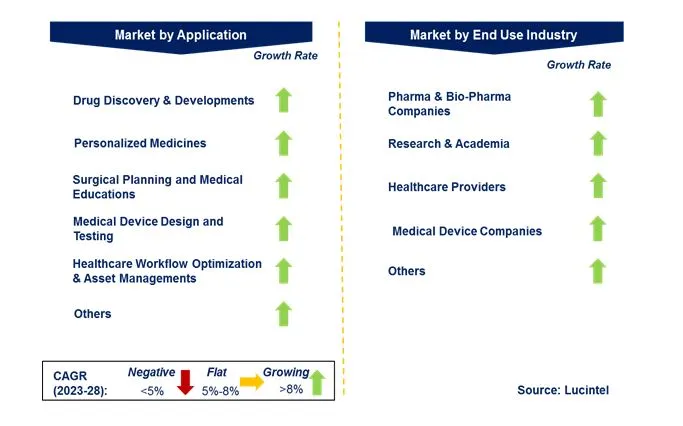 Digital Twin in the Healthcare Market by Segments