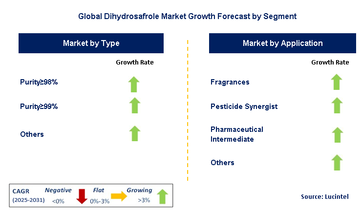 Dihydrosafrole Market by Segment