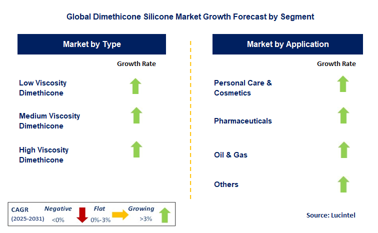 Dimethicone Silicone Market by Segment