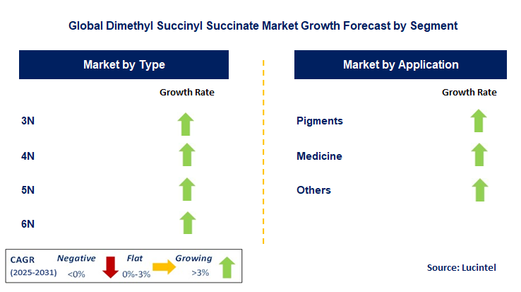 Dimethyl Succinyl Succinate Market by Segment