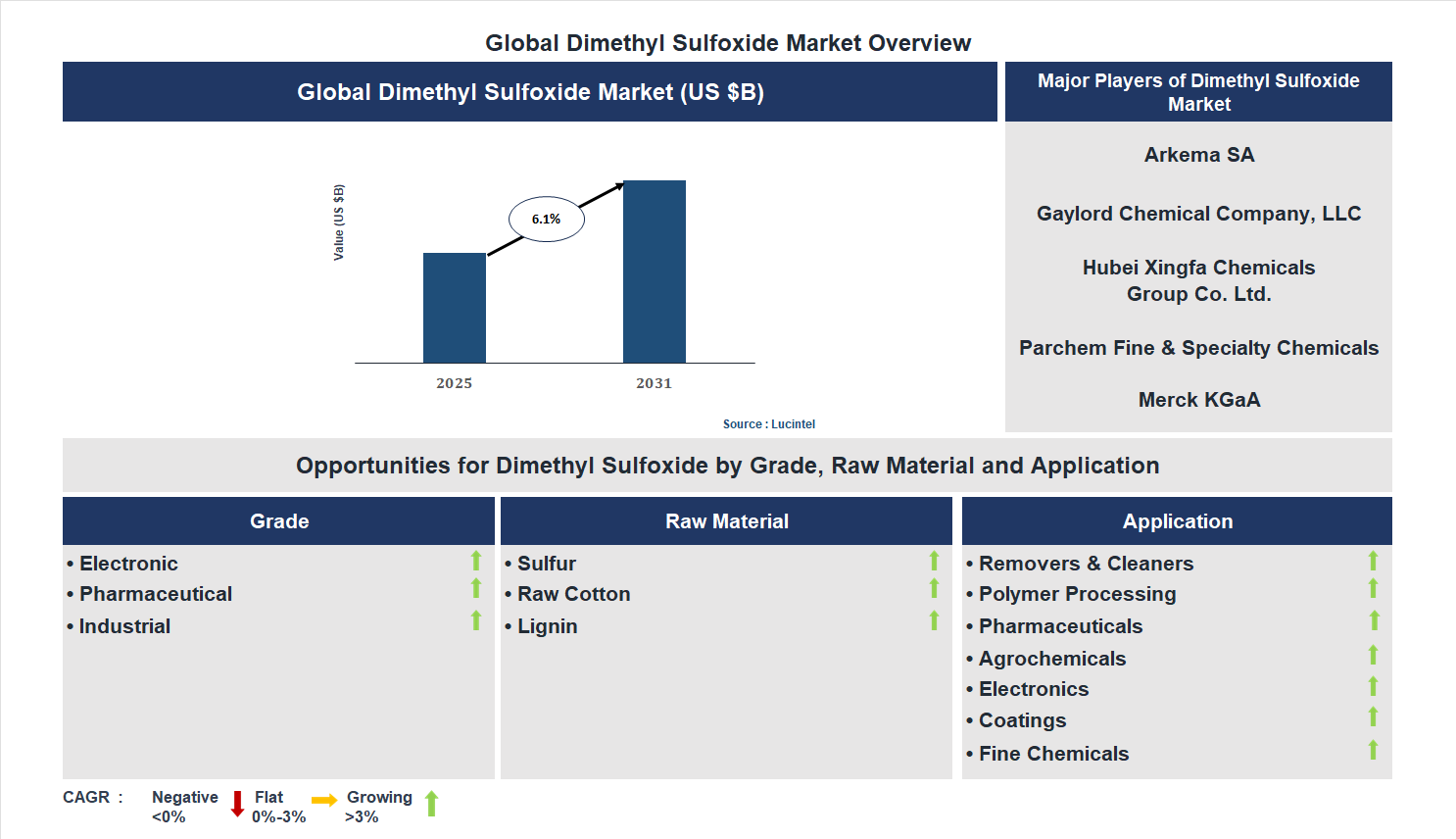 Dimethyl Sulfoxide Market Trends and Forecast