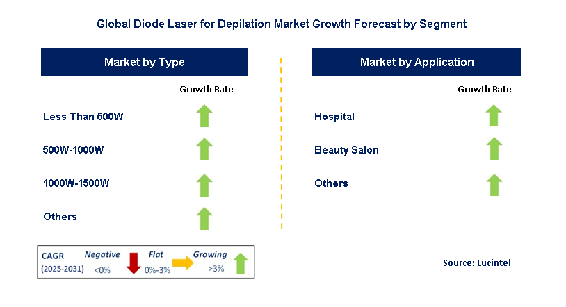 Diode Laser For Depilation Market by Segment