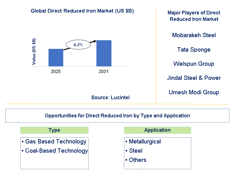 Direct Reduced Iron Market Trends and Forecast