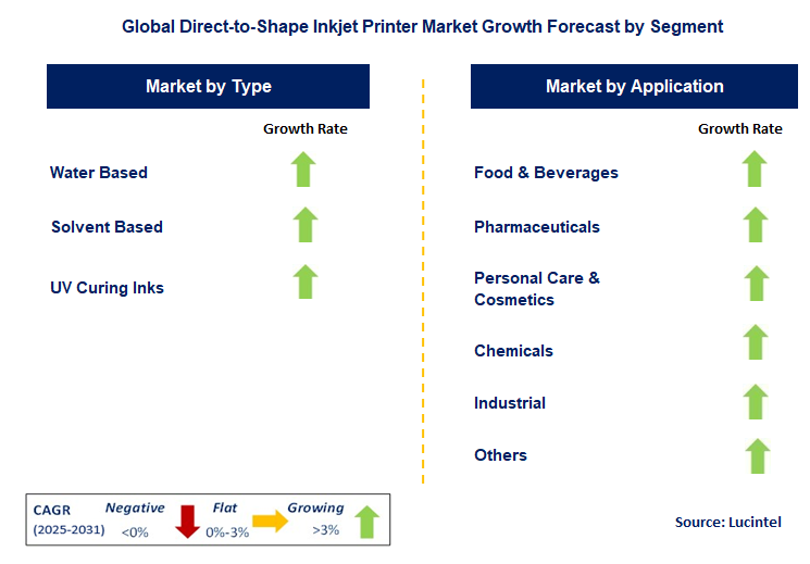 Direct-to-Shape Inkjet Printer Market by Segment