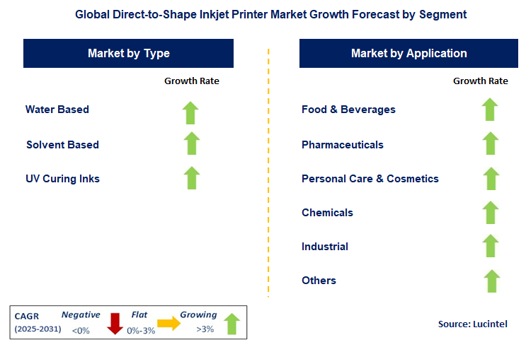 Direct-to-Shape Inkjet Printer Market by Segment