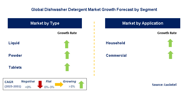 Dishwasher Detergent Market by Segment