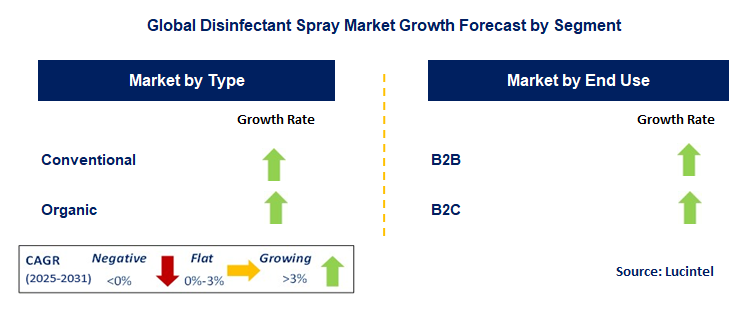 Disinfectant Spray Market by Segment