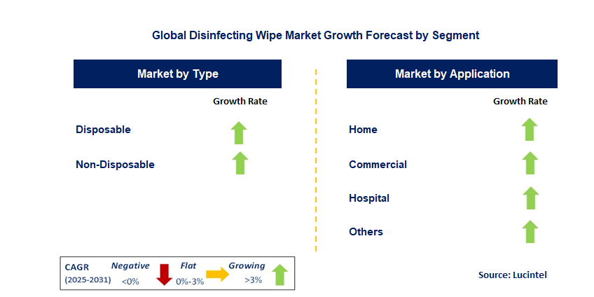 Disinfecting Wipe Market by Segment