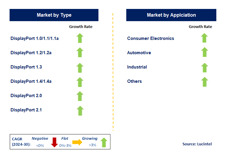 Displayport IP by Segment