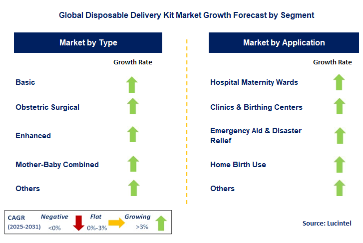 Disposable Delivery Kit Market by Segment