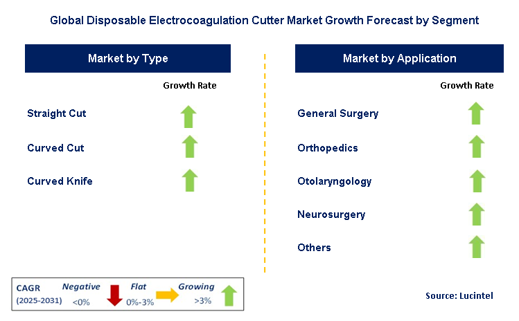 Disposable Electrocoagulation Cutter Market by Segment