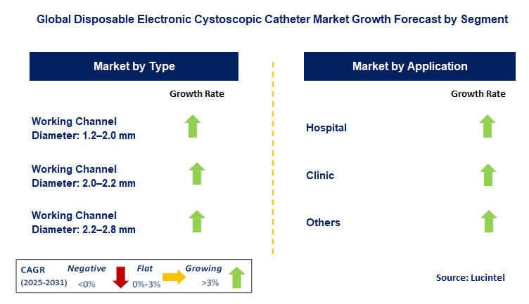 Disposable Electronic Cystoscopic Catheter Market by Segment