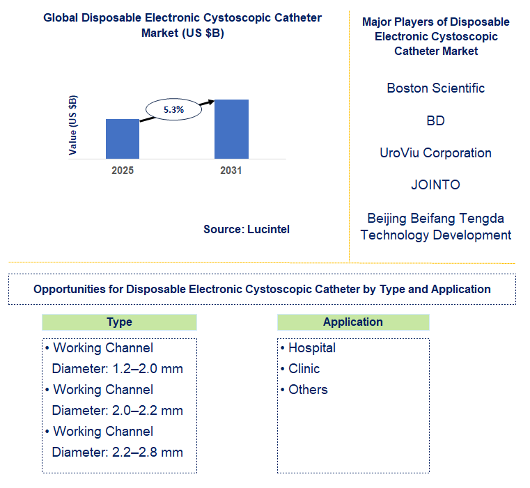 Disposable Electronic Cystoscopic Catheter Market Trends and Forecast