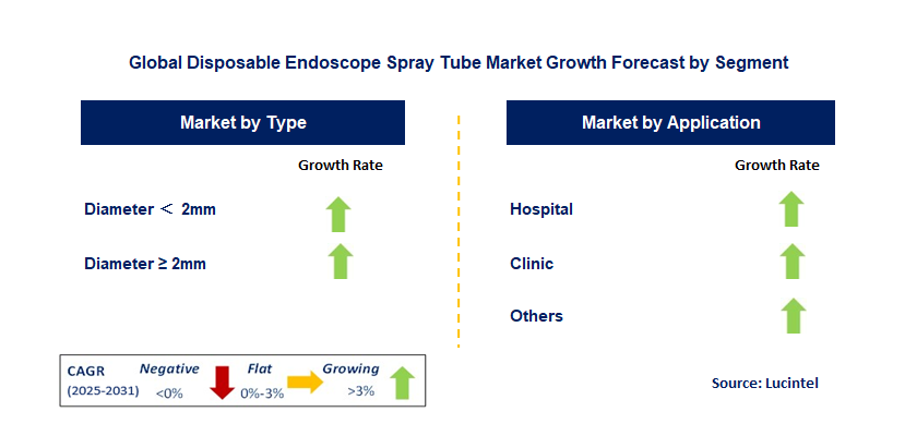Disposable Endoscope Spray Tube Market by Segment
