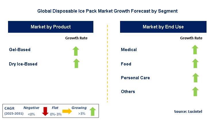Disposable Ice Pack Market by Segment
