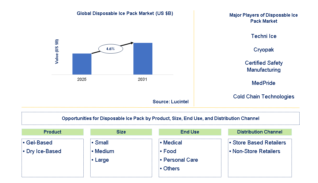 Disposable Ice Pack Market Trends and Forecast