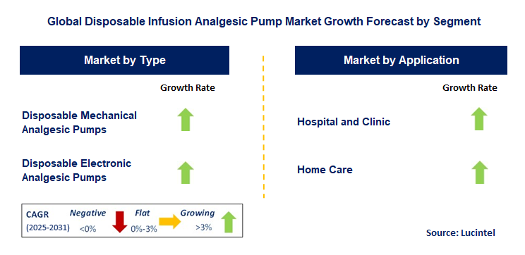 Disposable Infusion Analgesic Pump Market by Segment