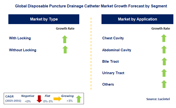 Disposable Puncture Drainage Catheter Market by Segment