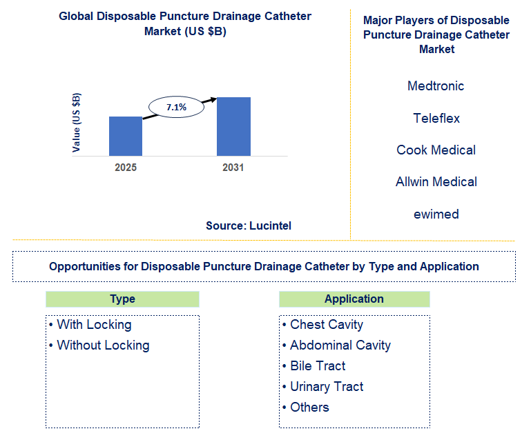 Disposable Puncture Drainage Catheter Market Trends and Forecast