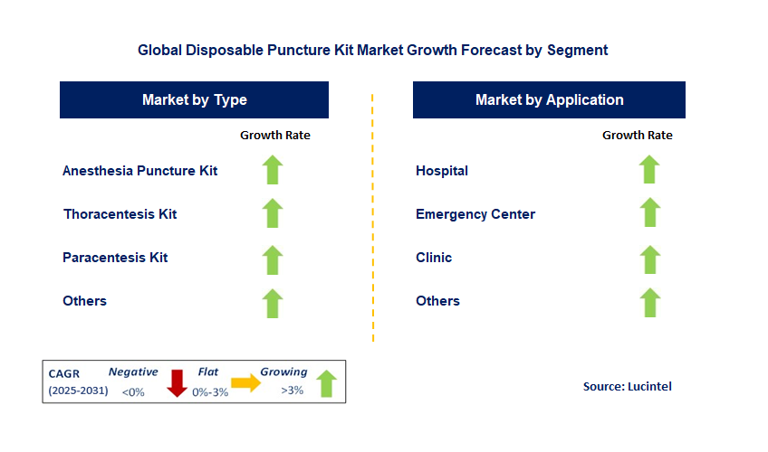 Disposable Puncture Kit Market by Segment