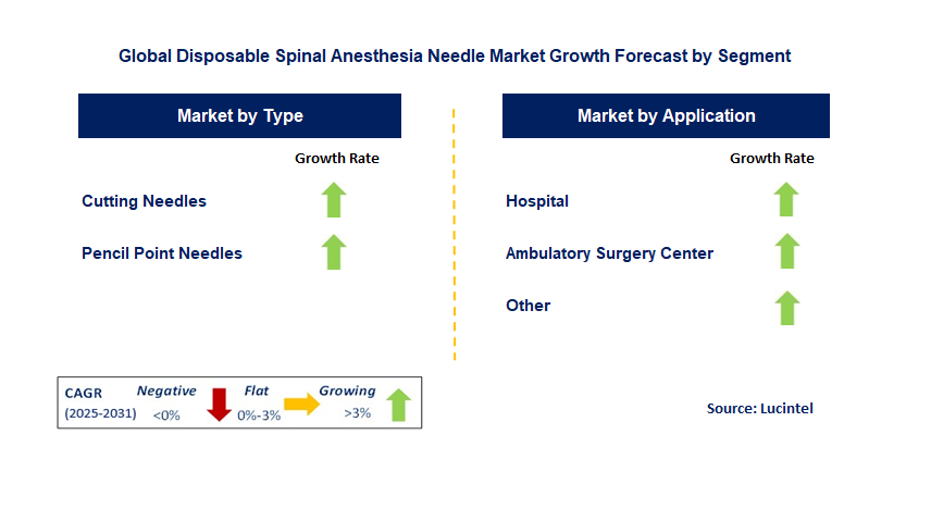 Disposable Spinal Anesthesia Needle Market by Segment