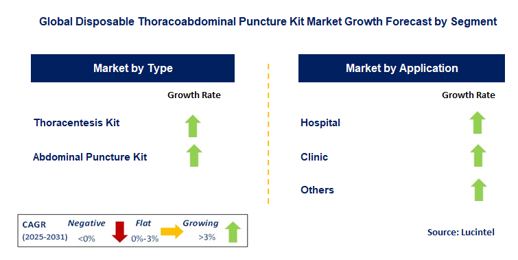 Disposable Thoracoabdominal Puncture Kit Market by Segment