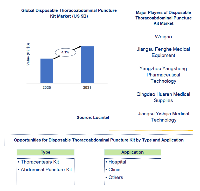 Disposable Thoracoabdominal Puncture Kit Market Trends and Forecast