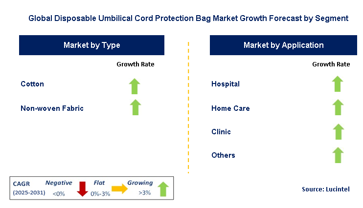 Disposable Umbilical Cord Protection Bag Market by Segment