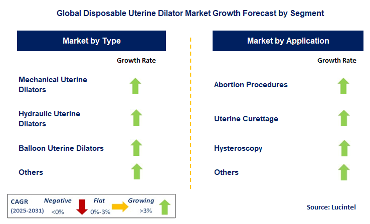 Disposable Uterine Dilator Market by Segment
