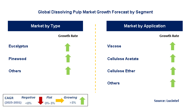 Dissolving Pulp Market by Segment
