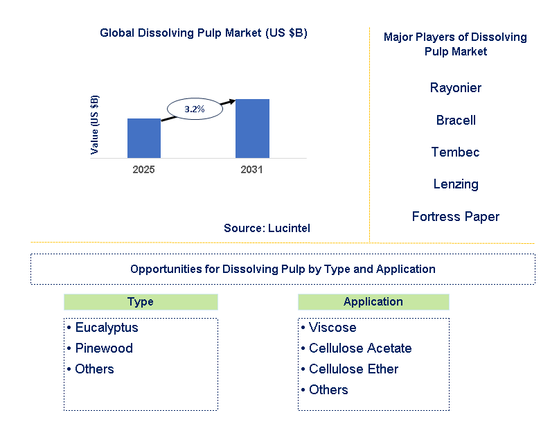 Dissolving Pulp Market Trends and Forecast