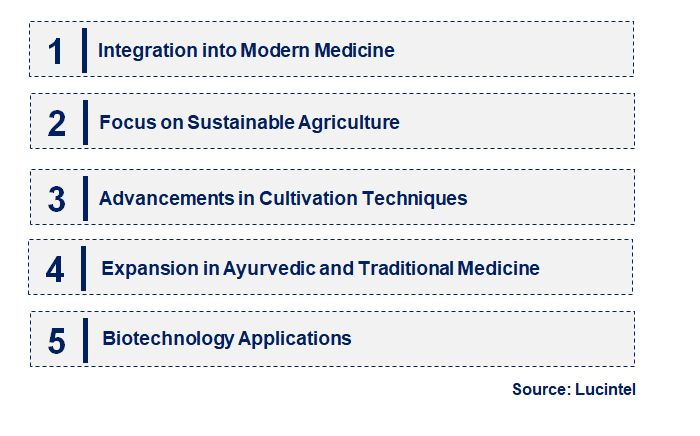 Emerging Trends in the Dodder Seeds Market