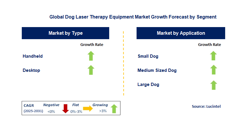 Dog Laser Therapy Equipment Market by Segment