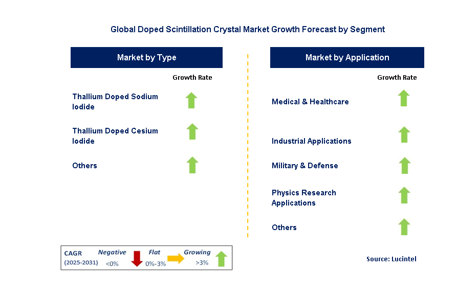 Doped Scintillation Crystal Market by Segment