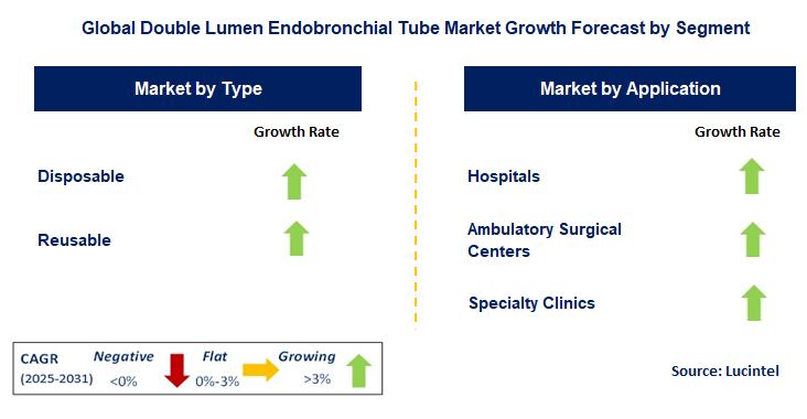 Double Lumen Endobronchial Tube Market by Segment