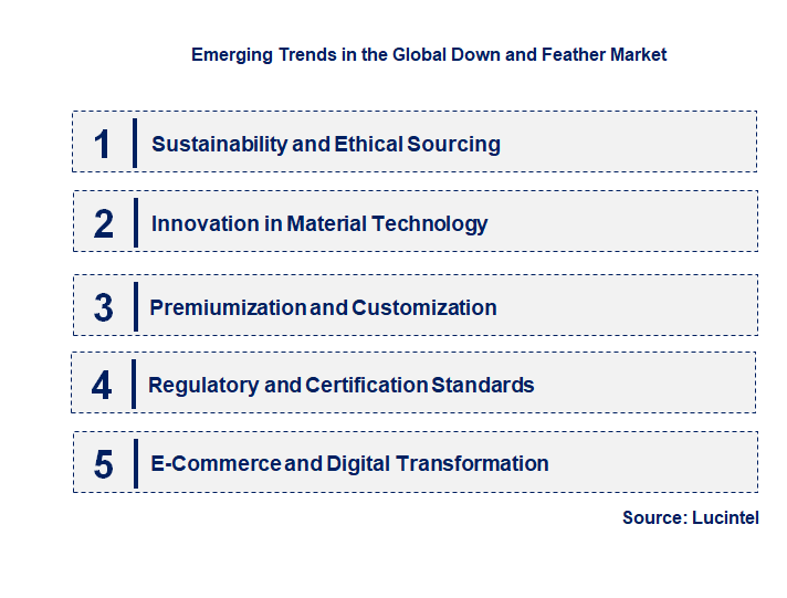 Emerging Trends in the Down and Feather Market