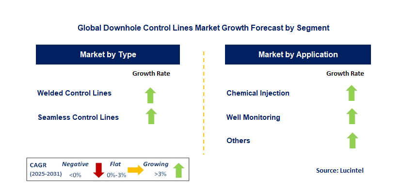 Downhole Control Lines Market by Segment
