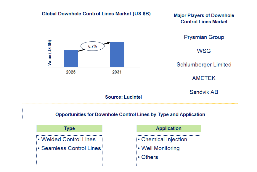 Downhole Control Lines Market Trends and Forecast