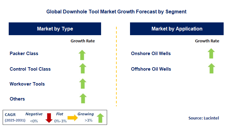 Downhole Tool Market by Segment