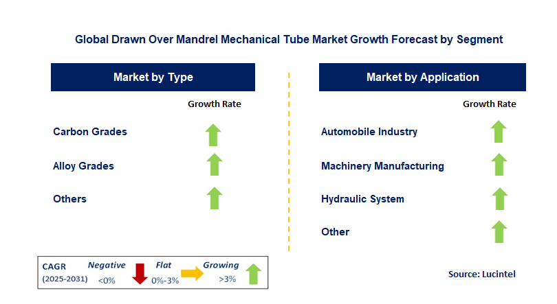Drawn Over Mandrel Mechanical Tube Market by Segment